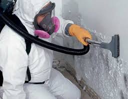 Best Asbestos and Lead Testing During Mold Inspection  in Edmonston, MD